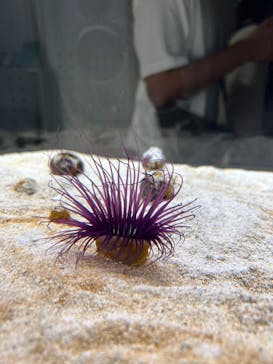 AOAO SAPPOROに投稿された画像（2023/8/12）