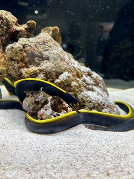 AOAO SAPPOROに投稿された画像（2023/8/12）