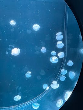 AOAO SAPPOROに投稿された画像（2023/8/12）