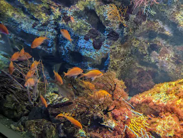 仙台うみの杜水族館に投稿された画像（2023/8/12）