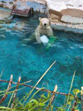 天王寺動物園に投稿された画像（2023/8/12）