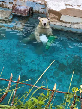 天王寺動物園に投稿された画像（2023/8/12）