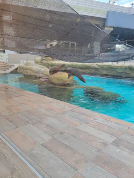 天王寺動物園に投稿された画像（2023/8/12）