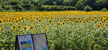 成田ゆめ牧場に投稿された画像（2023/8/12）