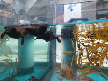 名古屋港水族館に投稿された画像（2023/8/12）