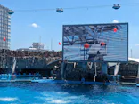 名古屋港水族館に投稿された画像（2023/8/12）