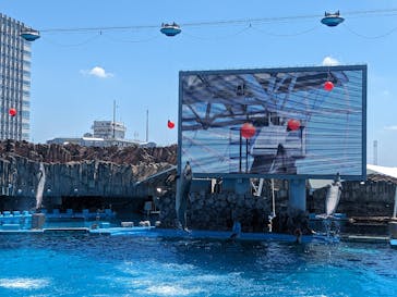 名古屋港水族館に投稿された画像（2023/8/12）