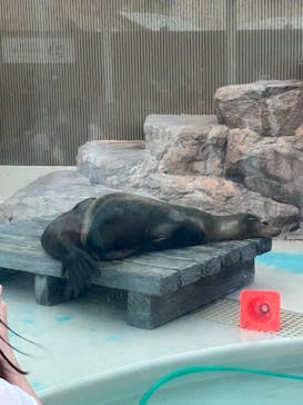 サンシャイン水族館に投稿された画像（2023/8/12）