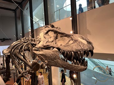 福井県立恐竜博物館に投稿された画像（2023/8/12）