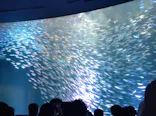 名古屋港水族館に投稿された画像（2023/8/12）