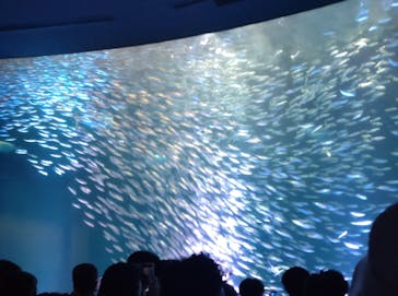 名古屋港水族館に投稿された画像（2023/8/12）