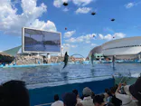 名古屋港水族館に投稿された画像（2023/8/12）