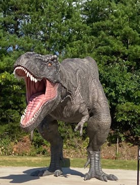 福井県立恐竜博物館に投稿された画像（2023/8/12）