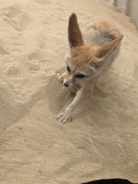 環境水族館アクアマリンふくしまに投稿された画像（2023/8/12）
