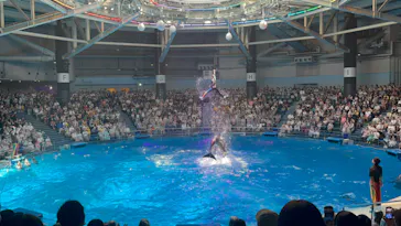 マクセル アクアパーク品川に投稿された画像（2023/8/12）