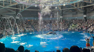 マクセル アクアパーク品川に投稿された画像（2023/8/12）