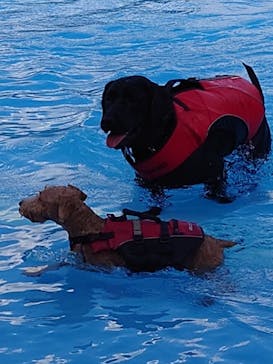 わんダフルネイチャーヴィレッジに投稿された画像（2023/8/12）