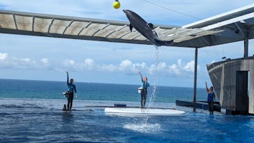 上越市立水族博物館 うみがたりに投稿された画像（2023/8/12）