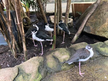 那須どうぶつ王国に投稿された画像（2023/8/12）