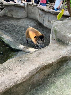 那須どうぶつ王国に投稿された画像（2023/8/12）