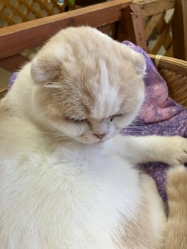 那須どうぶつ王国に投稿された画像（2023/8/12）