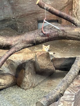 那須どうぶつ王国に投稿された画像（2023/8/12）