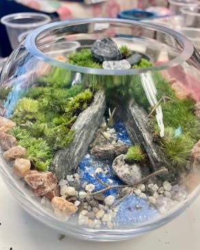 カルチャースクールいろはに投稿された画像（2023/8/12）