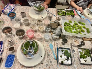 カルチャースクールいろはに投稿された画像（2023/8/12）