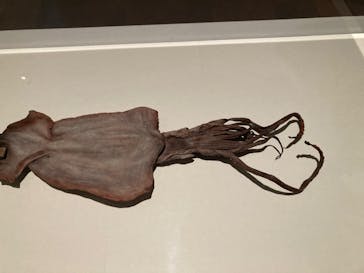 あべのハルカス美術館に投稿された画像（2023/8/12）