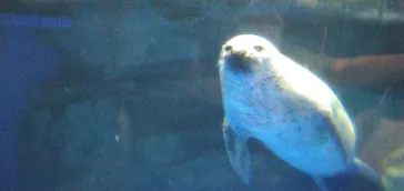 マクセル アクアパーク品川に投稿された画像（2023/8/12）