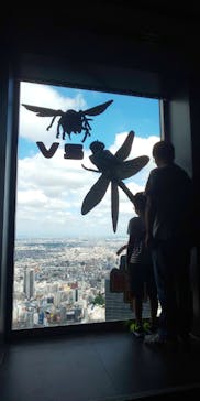 昆虫最強王図鑑展に投稿された画像（2023/8/12）