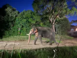 よこはま動物園ズーラシアに投稿された画像（2023/8/12）