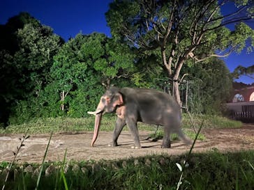 よこはま動物園ズーラシアに投稿された画像（2023/8/12）