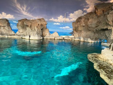 名古屋港水族館に投稿された画像（2023/8/12）