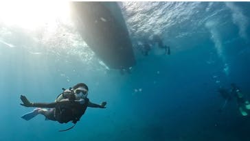 DIVING-SHOP SUNSに投稿された画像（2023/8/12）