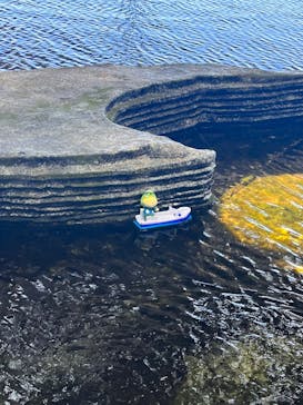 上越市立水族博物館 うみがたりに投稿された画像（2023/8/12）
