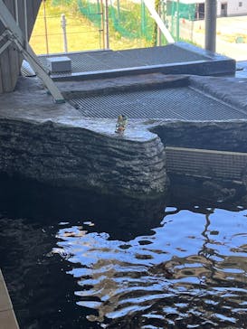 上越市立水族博物館 うみがたりに投稿された画像（2023/8/12）