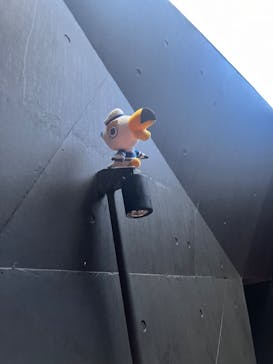 上越市立水族博物館 うみがたりに投稿された画像（2023/8/12）