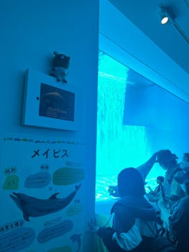 上越市立水族博物館 うみがたりに投稿された画像（2023/8/12）