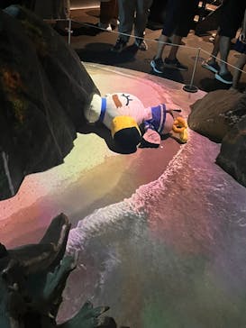 上越市立水族博物館 うみがたりに投稿された画像（2023/8/12）