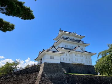 小田原城に投稿された画像（2023/8/12）