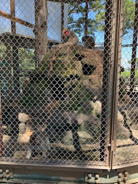 小田原城に投稿された画像（2023/8/12）