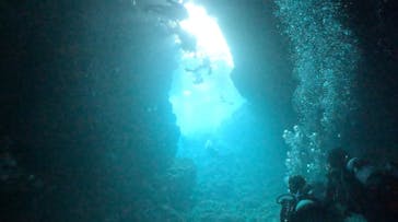 DIVING-SHOP SUNSに投稿された画像（2023/8/12）