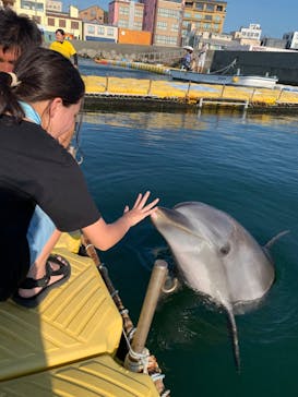 日間賀島ドルフィンビーチに投稿された画像（2023/8/12）