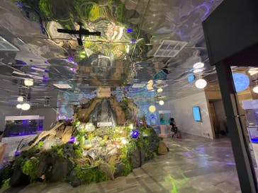 NARA KINGYO MUSEUMに投稿された画像（2023/8/12）