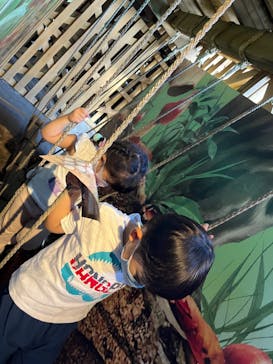 モビリティリゾートもてぎに投稿された画像（2023/8/12）