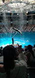 マクセル アクアパーク品川に投稿された画像（2023/8/12）