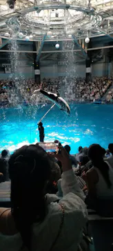 マクセル アクアパーク品川に投稿された画像（2023/8/12）