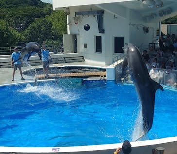九十九島水族館海きららに投稿された画像（2023/8/12）