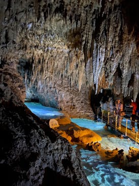 おきなわワールドに投稿された画像（2023/8/12）